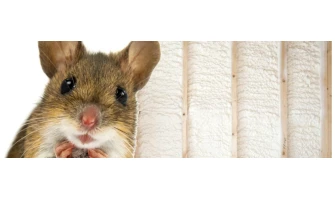 2 ⭐Types of Insulation⭐ to Keep Mice Away [Data]