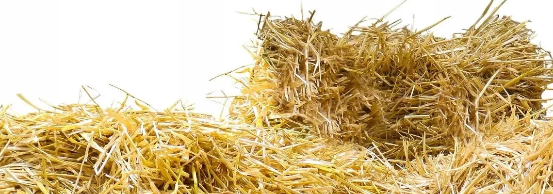 STRAW BALE AS A DIY INSULATION PROJECT?