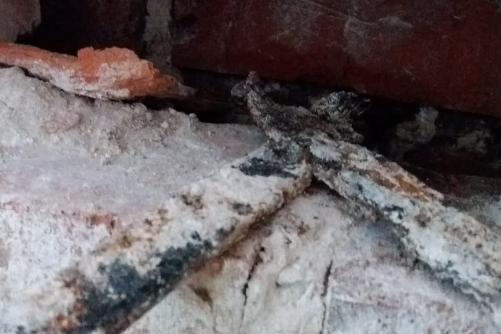 corroded wall ties