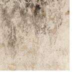 mould on exterior wall
