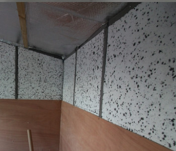 polystyrene inside shed