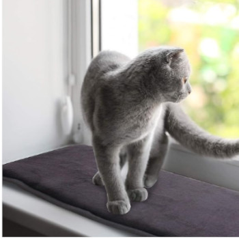 cat on window sill extender