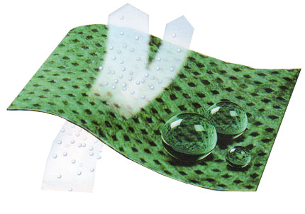 green-breather-membrane